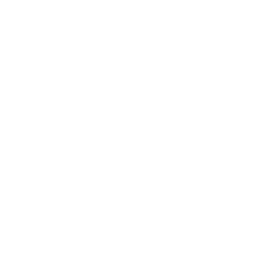 White bullhorn icon