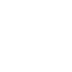 White icon showing three dollar bills