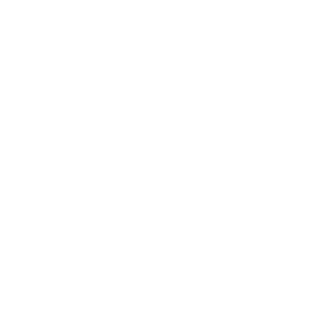 White icon showing shield with padlock